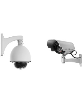 Cameras & Surveillance