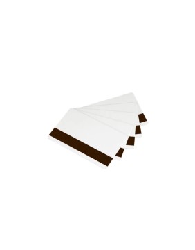 Magnetic Stripe